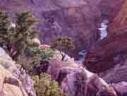 Grand Canyon - The River