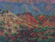 Morning Light in the Jemez