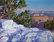 Grand Canyon - North Rim Sentinal